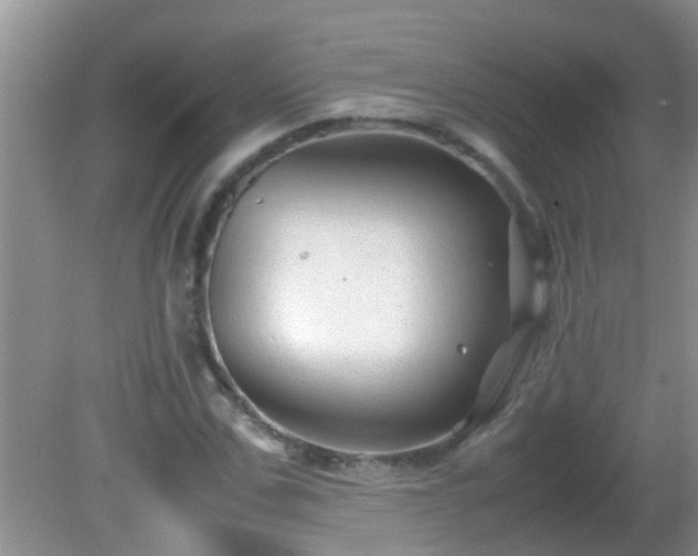 X0000081610971200701221158