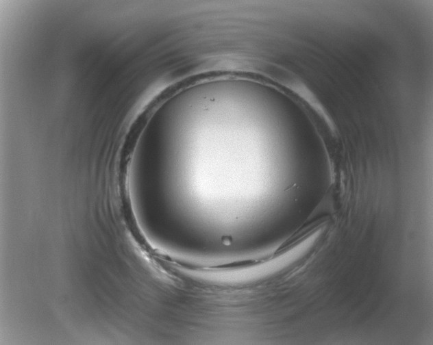 X0000081610972200701221158