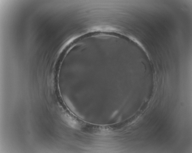 X0000081610975200701221158