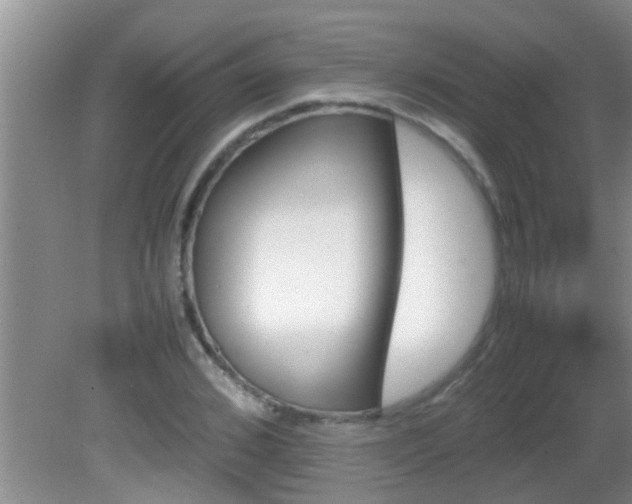 X0000081610976200701221158