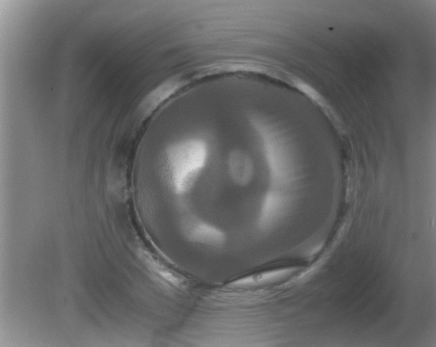 X0000081610977200701221158