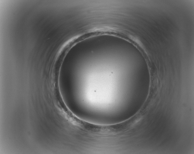 X0000081610979200701221158