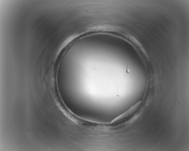 X0000081610981200701221158