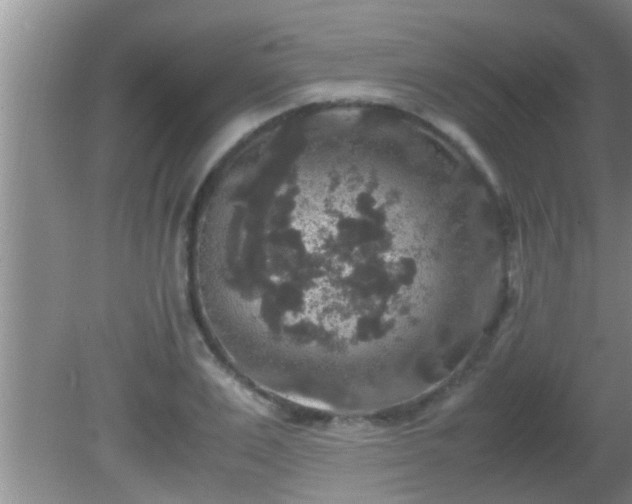 X0000081610983200701221158