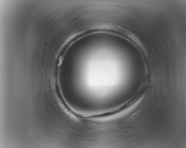 X0000081610984200701221158