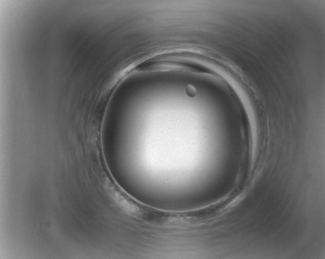 X0000081610985200701221158