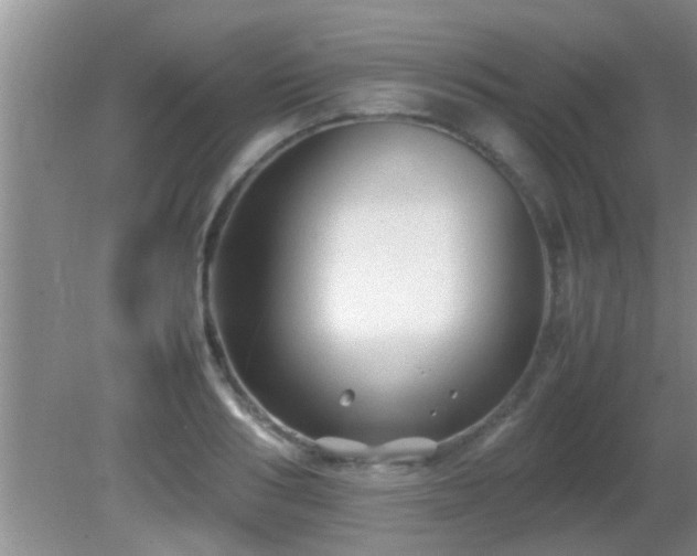 X0000081610986200701221158