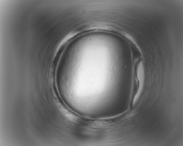 X0000081610987200701221158