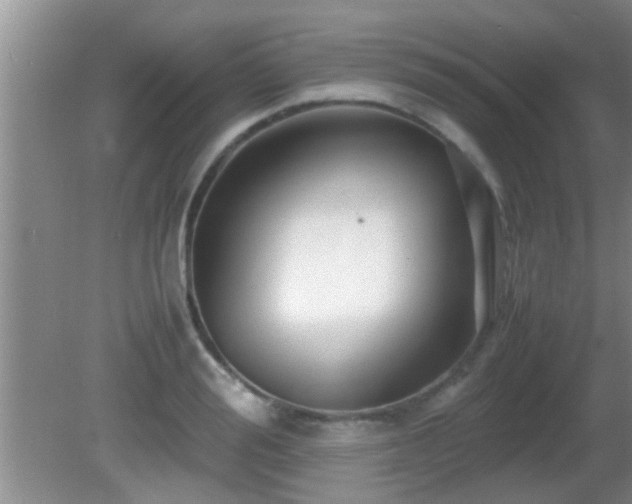 X0000081610988200701221158