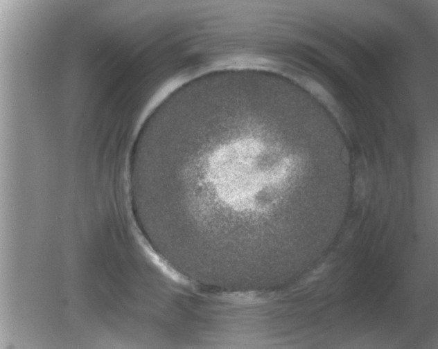 X0000081610990200701221157