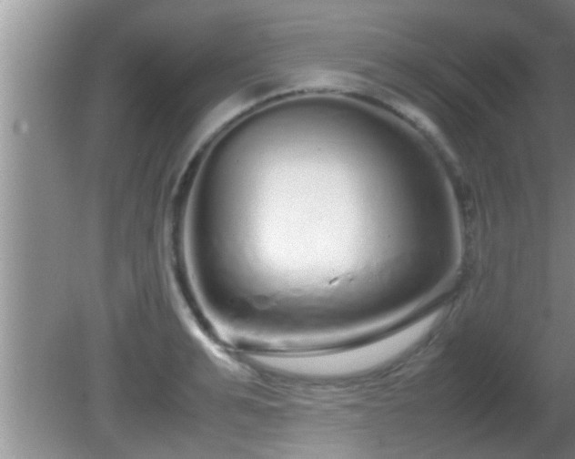 X0000081610991200701221157