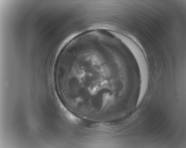 X0000081610995200701221157