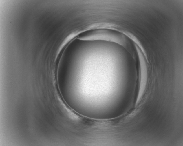 X0000081610997200701221157