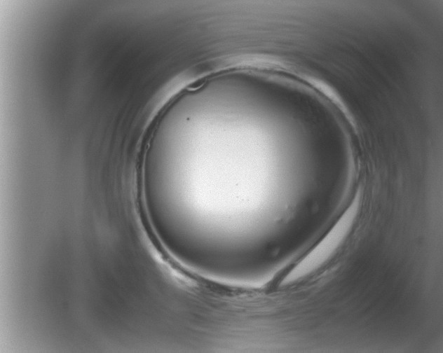 X0000081610999200701221157