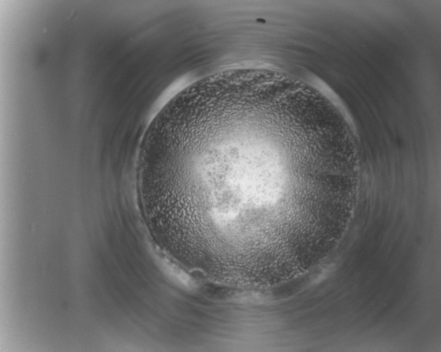 X0000081611002200701221157