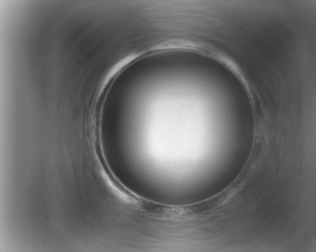 X0000081611003200701221157