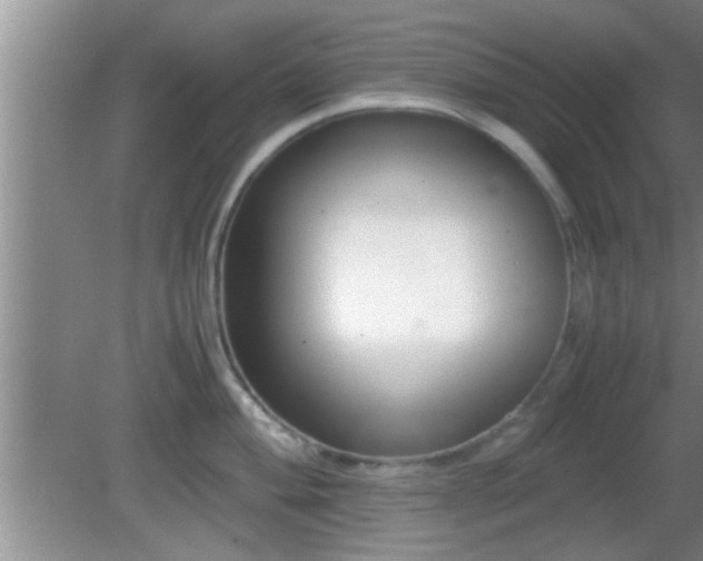 X0000081611004200701221157