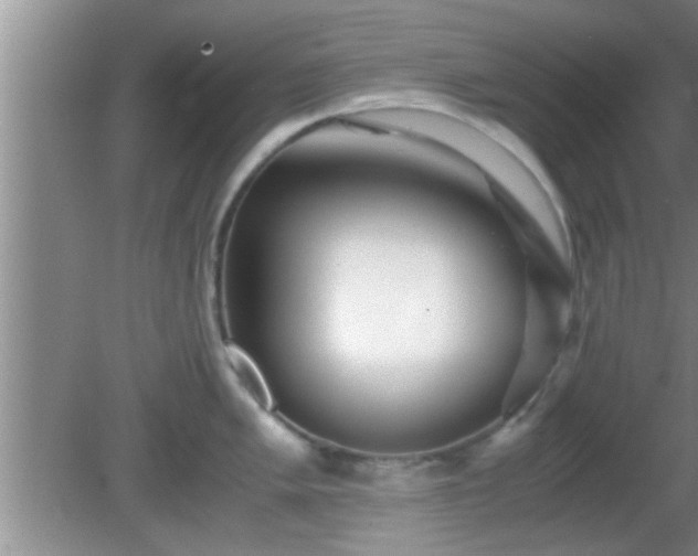 X0000081611005200701221157