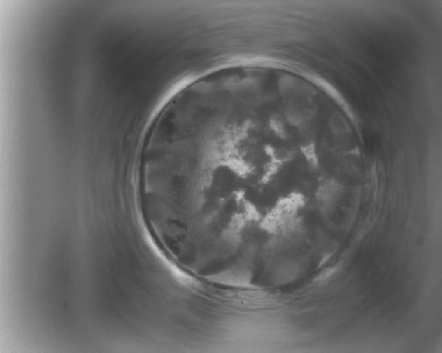 X0000081611007200701221157