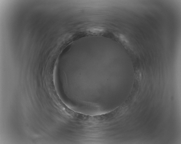 X0000081611009200701221156