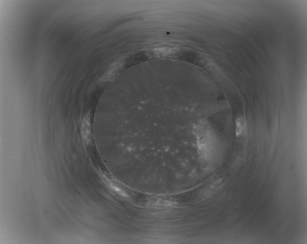 X0000081611011200701221156