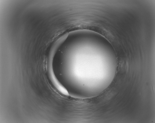 X0000081611012200701221156