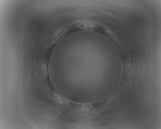 X0000081611013200701221156