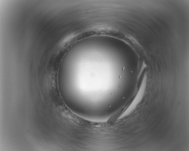 X0000081611016200701221156