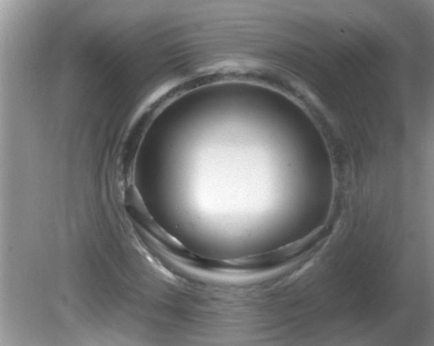 X0000081611018200701221157