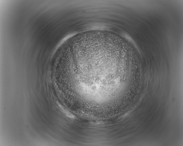 X0000081611019200701221157