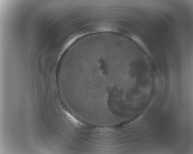 X0000081611023200701221157