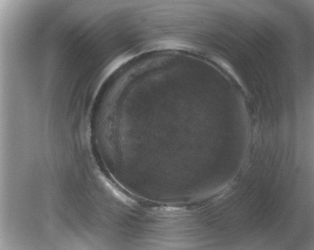 X0000081611024200701221157