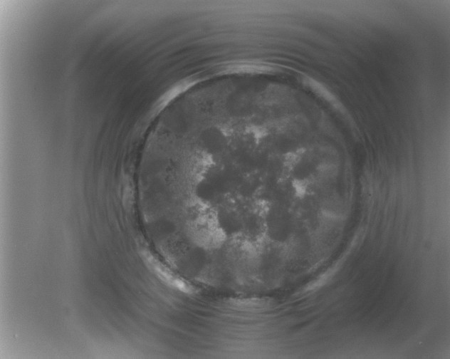 X0000081611025200701221157