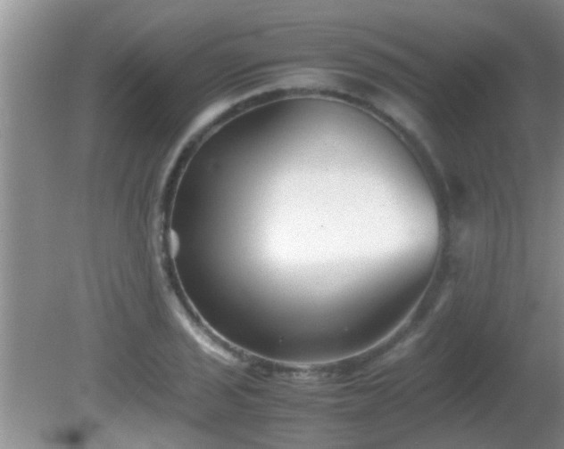 X0000081611029200701221157