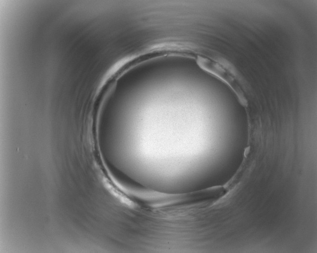 X0000081611030200701221157