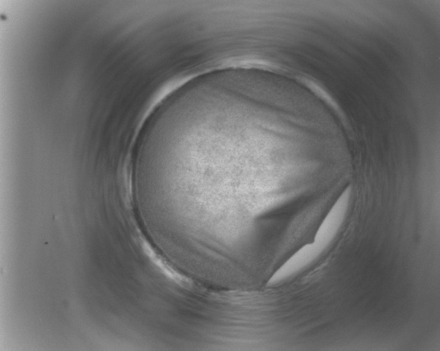 X0000081611032200701221157