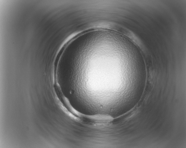 X0000081611036200701221157