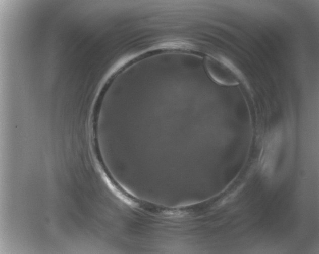 X0000081611037200701221157