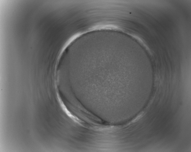 X0000081611038200701221157