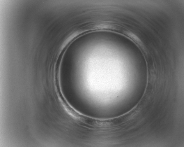 X0000081611039200701221157