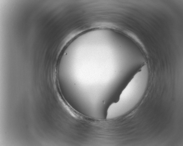 X0000081611040200701221157