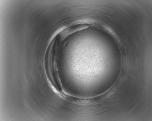 X0000081611042200701221157