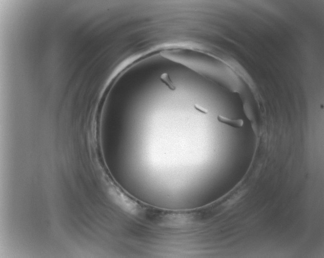 X0000081611044200701221157