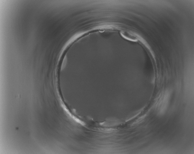 X0000081611045200701221157