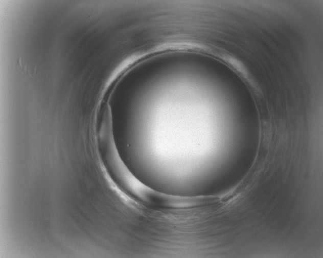 X0000081611046200701221157