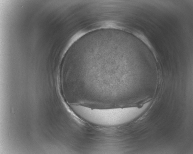 X0000081611048200701221157