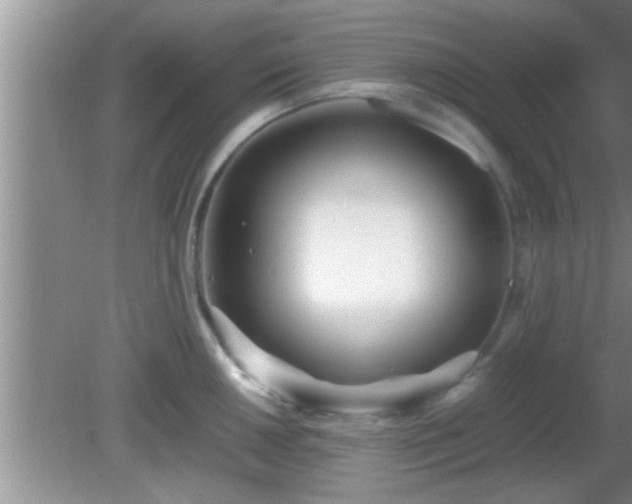 X0000081611050200701221157