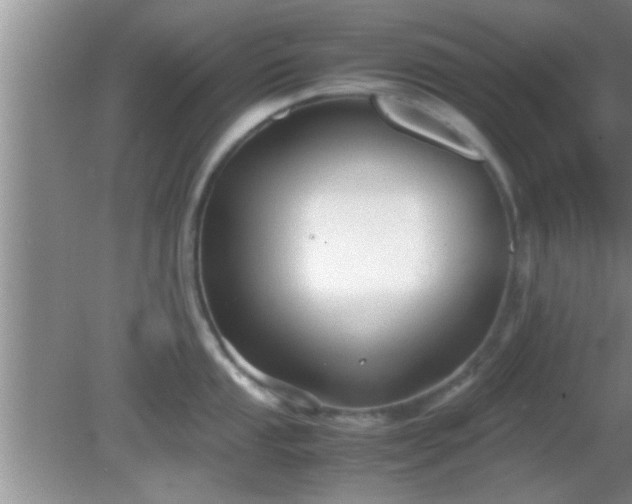 X0000081611053200701221157