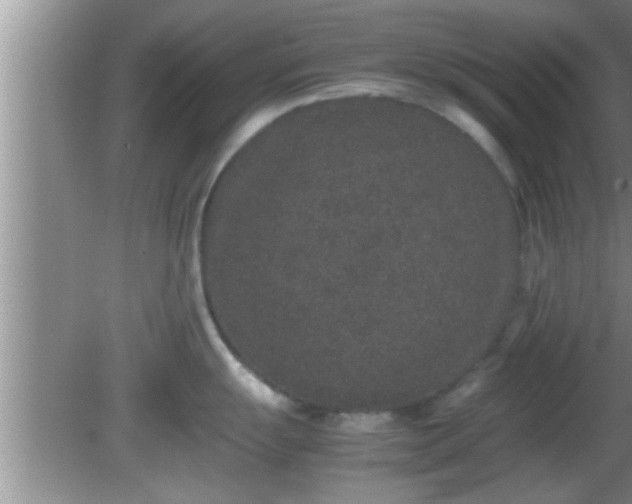 X0000081611055200701221157