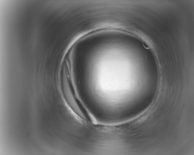 X0000081611056200701221157